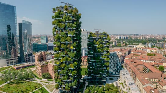 bâtiment de verdure