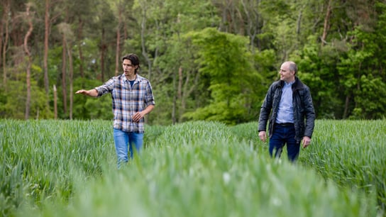 Two men in an organic garden