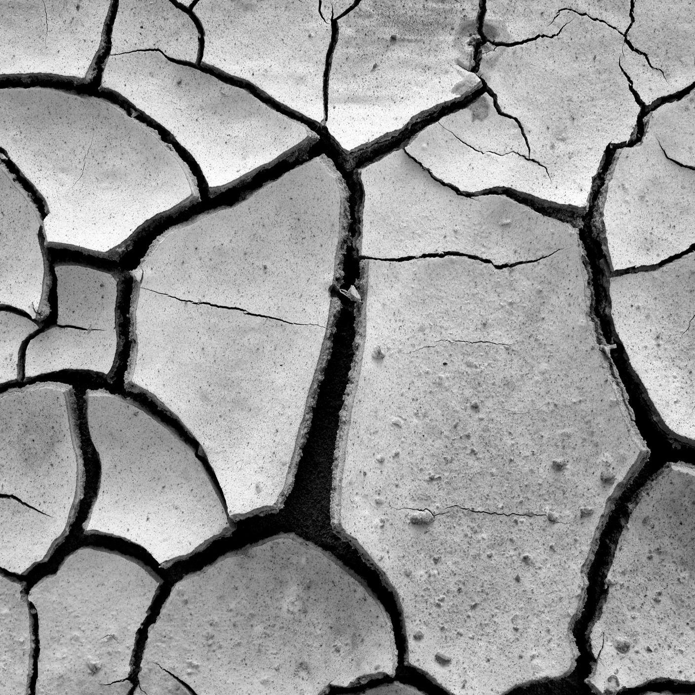 The ground cracks and curl's upward as a drought sets in. Shot and styled in b&w with subtle film-grain intentionally for that retro-film look.