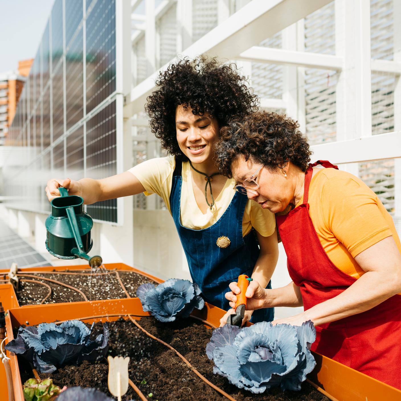 two women watering plants on rooftop with solar panels