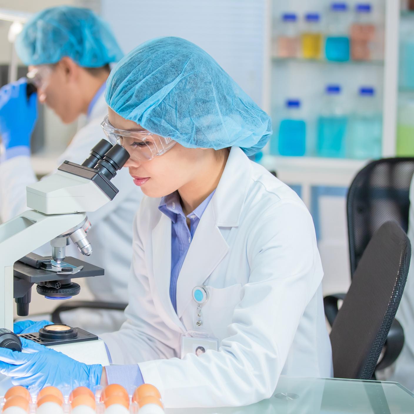 Asian Quality control expert inspecting at food specimen meat in the laboratory. 
